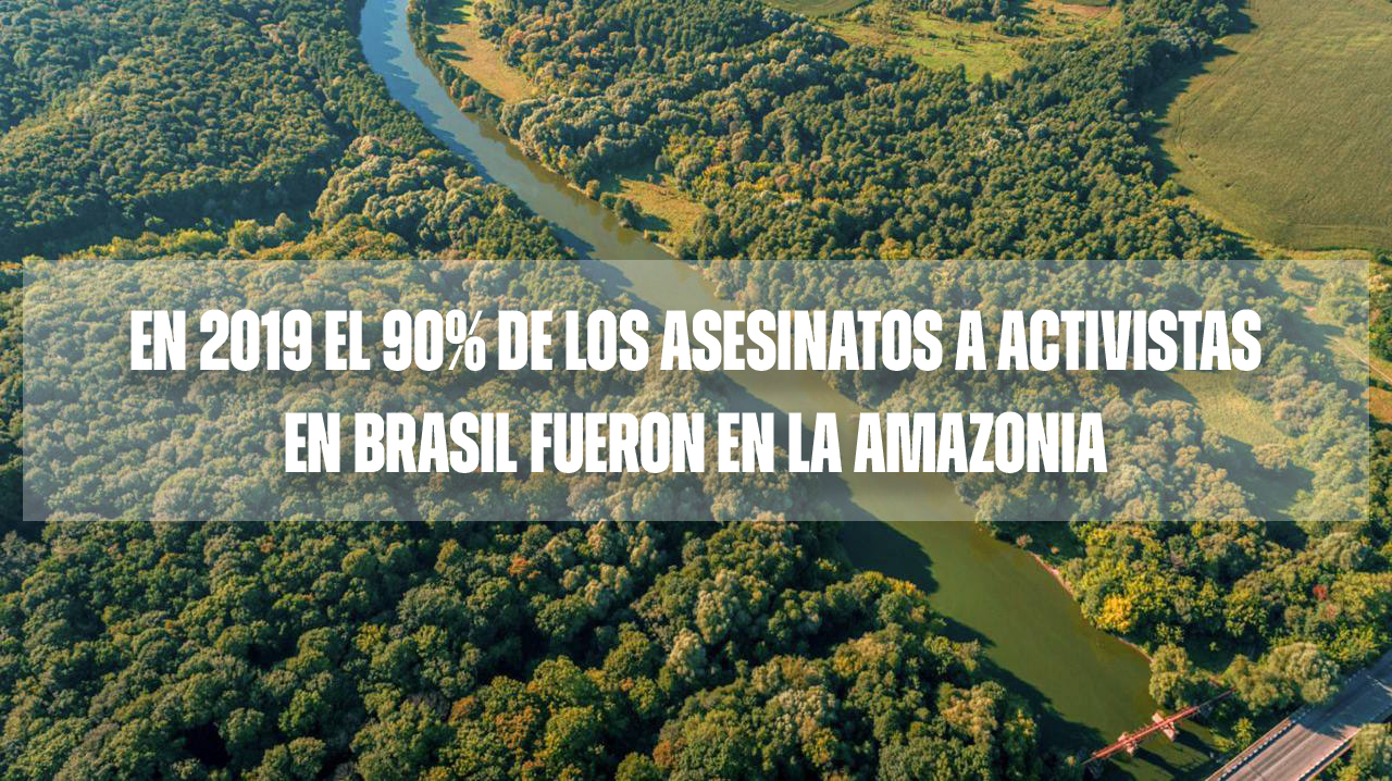 Día Internacional de los Bosques Tropicales 1